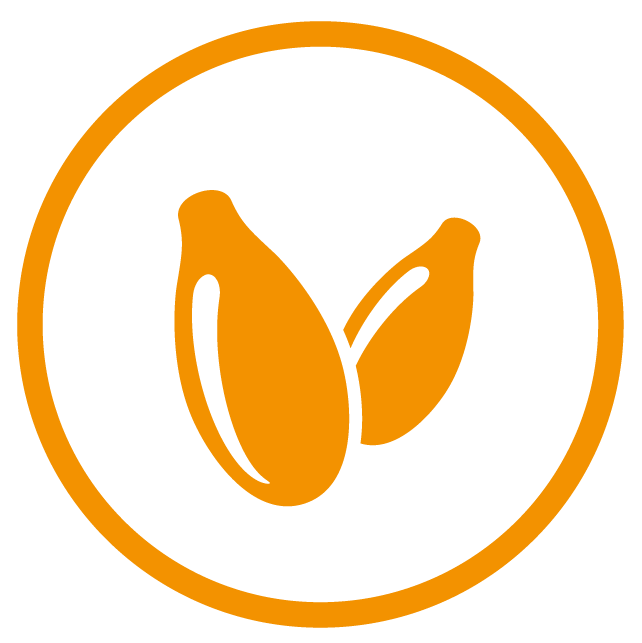 Altramuces